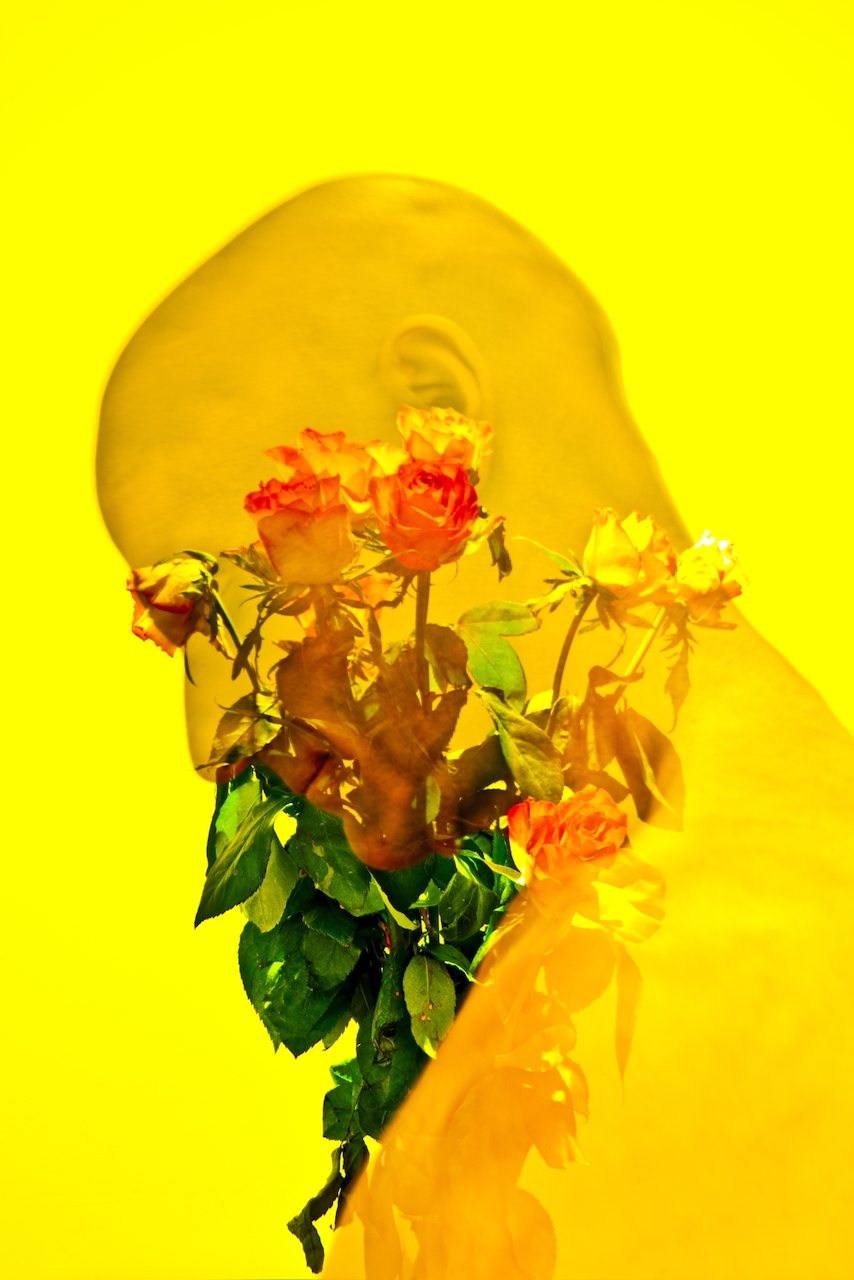 exposition 2014, 18 copie 2
